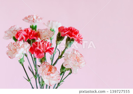 Beautiful pink and white Carnation flowers on a pink pastel background. Beautiful pink and white Carnation flowers on a pink pastel background. 139727555
