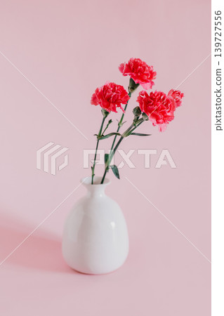 Beautiful pink Carnation flowers in a vase on a pink pastel background. Beautiful pink Carnation flowers in a vase on a pink pastel background. 139727556