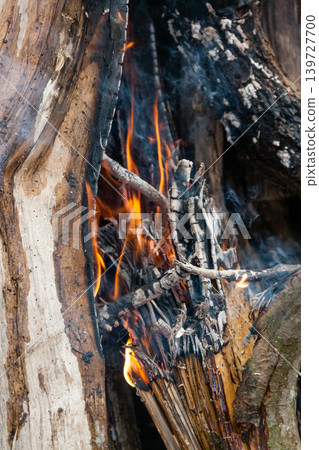 Beautiful fire flames on a campfire Beautiful fire flames on a campfire 139727700