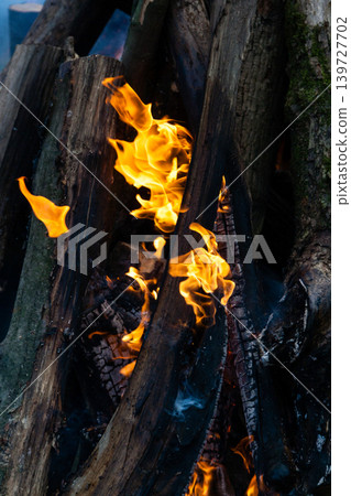 Beautiful fire flames on a campfire Beautiful fire flames on a campfire 139727702
