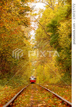 Autumn forest through which an old tram rides (Ukraine) Autumn forest through which an old tram rides (Ukraine) 139727772