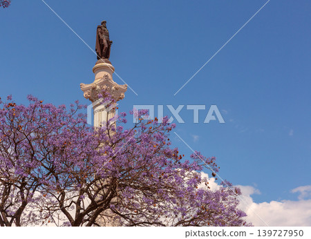 Pedro IV Monument and Blooming Jacaranda Trees at Rossio Square Lisbon Pedro IV Monument and Blooming Jacaranda Trees at Rossio Square Lisbon 139727950