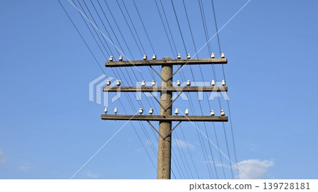 Old utility pole with wooden crossarms ceramic insulators and multiple wires against clear blue sky, concept of telecommunications and energy infrastructure Old utility pole with wooden crossarms ceramic insulators and multiple wires against clear blue sky, concept of telecommunications and energy infrastructure 139728181