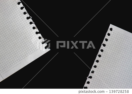 Torn graph paper sheets with binder holes sit on dark surface, copy space between notebook paper edges. Natural background, notebook paper layout, stationery design, education, planning 139728258