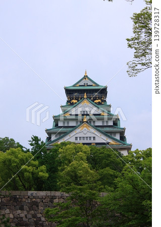 大阪城公園的清新綠色景色 大阪城公園的清新綠色景色 139728317