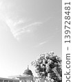 初夏單色的天空下，玫瑰競相綻放 139728481