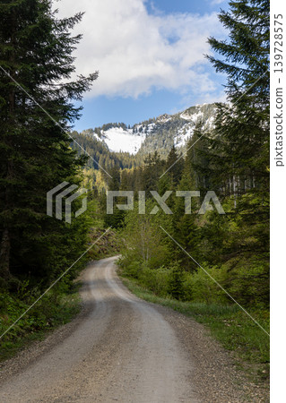 Gravel road through alpine forest leading toward snowy mountain in Bavaria, Germany 139728575