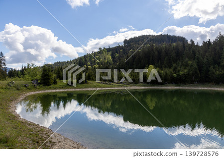 Peaceful alpine lake reflecting clouds and forest in Bavaria, Germany 139728576