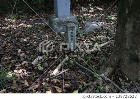 Grounding electrode for measuring ground resistance. Ω symbol for outdoor installation. (Referring to fallen leaves and moss-covered soil) 139728628