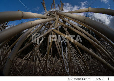 Photographed the situation that the bamboo which becomes raw material of tea of Takayama district of Ikoma-shi, Nara is sun-dried Photographed the situation that the bamboo which becomes raw material of tea of Takayama district of Ikoma-shi, Nara is sun-dried 139729018