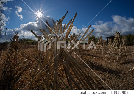 Photographed the situation that the bamboo which becomes raw material of tea of Takayama district of Ikoma-shi, Nara is sun-dried Photographed the situation that the bamboo which becomes raw material of tea of Takayama district of Ikoma-shi, Nara is sun-dried 139729031
