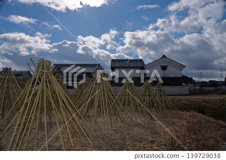 Photographed the situation that the bamboo which becomes raw material of tea of Takayama district of Ikoma-shi, Nara is sun-dried Photographed the situation that the bamboo which becomes raw material of tea of Takayama district of Ikoma-shi, Nara is sun-dried 139729038