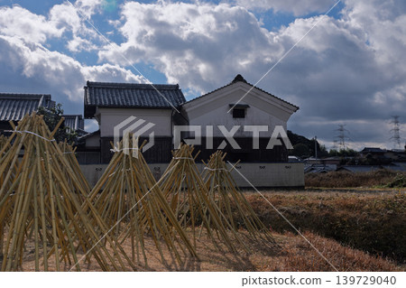 拍攝了作為奈良生駒市的高山地區的茶的原料的竹子被曬乾的狀況 拍攝了作為奈良生駒市的高山地區的茶的原料的竹子被曬乾的狀況 139729040