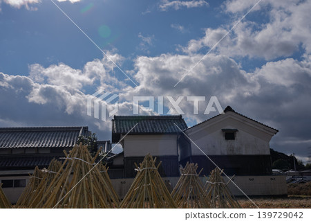 拍攝了作為奈良生駒市的高山地區的茶的原料的竹子被曬乾的狀況 拍攝了作為奈良生駒市的高山地區的茶的原料的竹子被曬乾的狀況 139729042