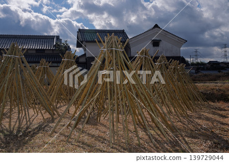 Photographed the situation that the bamboo which becomes raw material of tea of Takayama district of Ikoma-shi, Nara is sun-dried Photographed the situation that the bamboo which becomes raw material of tea of Takayama district of Ikoma-shi, Nara is sun-dried 139729044