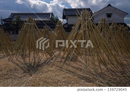 拍攝了作為奈良生駒市的高山地區的茶的原料的竹子被曬乾的狀況 拍攝了作為奈良生駒市的高山地區的茶的原料的竹子被曬乾的狀況 139729045