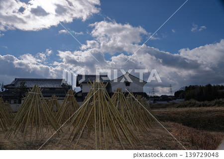 拍攝了作為奈良生駒市的高山地區的茶的原料的竹子被曬乾的狀況 拍攝了作為奈良生駒市的高山地區的茶的原料的竹子被曬乾的狀況 139729048