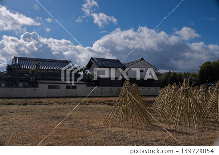 拍攝了作為奈良生駒市的高山地區的茶的原料的竹子被曬乾的狀況 拍攝了作為奈良生駒市的高山地區的茶的原料的竹子被曬乾的狀況 139729054
