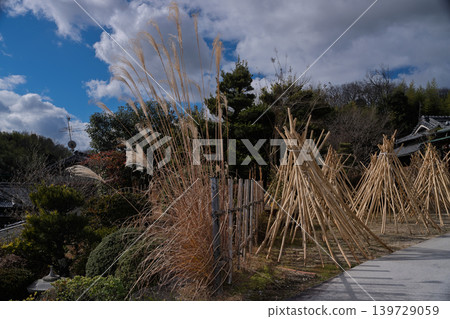 Photographed the situation that the bamboo which becomes raw material of tea of Takayama district of Ikoma-shi, Nara is sun-dried Photographed the situation that the bamboo which becomes raw material of tea of Takayama district of Ikoma-shi, Nara is sun-dried 139729059