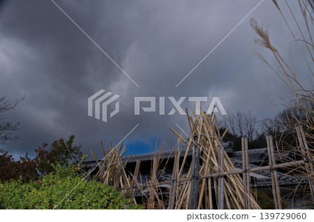 Photographed the situation that the bamboo which becomes raw material of tea of Takayama district of Ikoma-shi, Nara is sun-dried 139729060