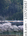 An E233 series train runs along the Chuo East Line in the early morning, seen off by cherry blossoms in full bloom below. (Photographed on April 11, 2026) 139729087