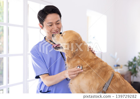 專治金毛尋回犬的獸醫。 139729282