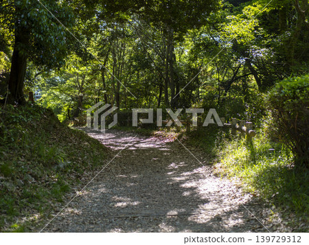 五月山上的健行小徑,那裡綠意盎然,生氣勃勃。 五月山上的健行小徑,那裡綠意盎然,生氣勃勃。 139729312