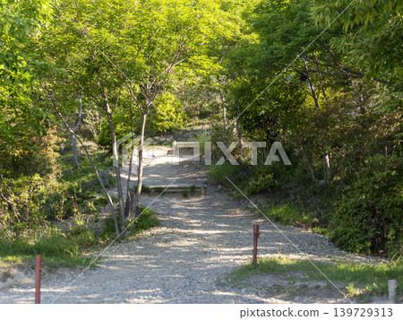 五月山上的健行小徑,那裡綠意盎然,生氣勃勃。 五月山上的健行小徑,那裡綠意盎然,生氣勃勃。 139729313
