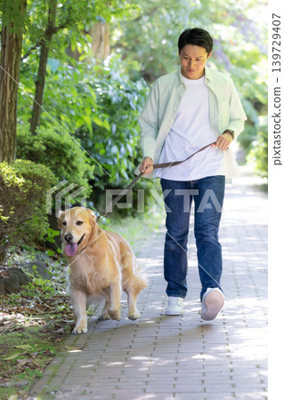 一名男子正在遛他的寵物狗，一隻體型較大的金毛犬。 139729407