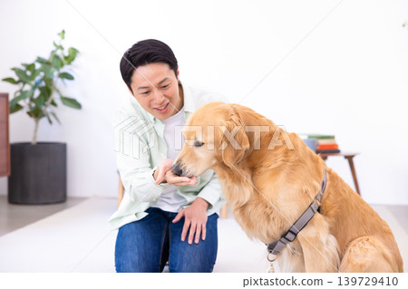 Pet training: A Golden Retriever receiving treats. Pet training: A Golden Retriever receiving treats. 139729410