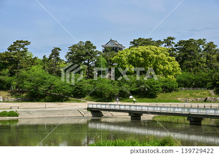 岡崎城公園,2026年5月 岡崎城公園,2026年5月 139729422