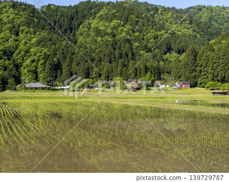 The landscape of rice paddies spreading across Miyama thatched-roof village The landscape of rice paddies spreading across Miyama thatched-roof village 139729787