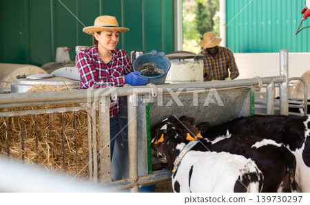 Female farmer feeding calf in the cowshed 139730297