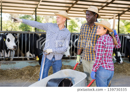 Farm workers discussing working process near cowshed Farm workers discussing working process near cowshed 139730335