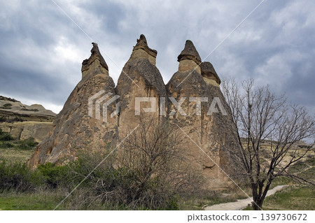 96208 土耳其：卡帕多西亞世界遺產地的蘑菇狀岩層 139730672