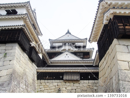 松山城的石牆與天守閣 松山城的石牆與天守閣 139731016
