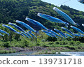 Bonito streamers swim in Kuroshio Town, Kochi Prefecture 139731718