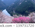 View of the Niyodo River from Hanatomo no Sato (Peach Blossom Village), Kochi Prefecture 139731720