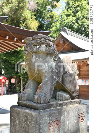 A walk around Iwatsuki: Komainu (guardian lion-dogs) at Hisaizu Shrine 139731772