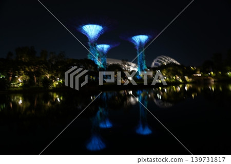 Gardens by the Bay Singapore Supertrees at Night Gardens by the Bay Singapore Supertrees at Night 139731817