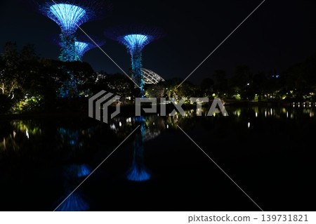 Gardens by the Bay Singapore at Night Landscape View Gardens by the Bay Singapore at Night Landscape View 139731821