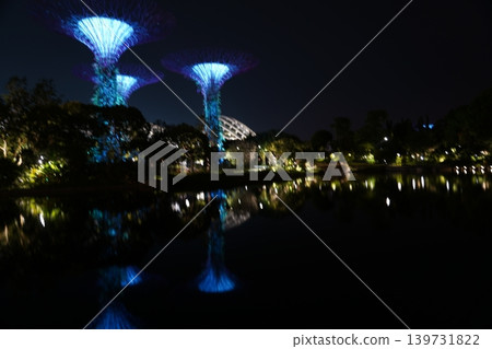 Gardens by the Bay Singapore Night Photography Gardens by the Bay Singapore Night Photography 139731822