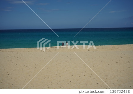 屋久島沙灘，海龜在那裡產卵。 139732428