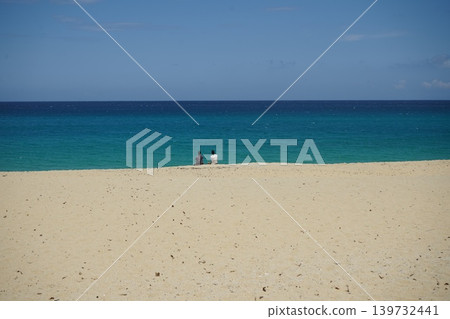The sandy beach where sea turtles lay their eggs on Yakushima Island The sandy beach where sea turtles lay their eggs on Yakushima Island 139732441