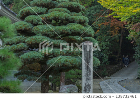 A photograph of a monk begging at Enpukuji Temple, a Rinzai sect temple in Yawata City, Kyoto Prefecture. 139732461