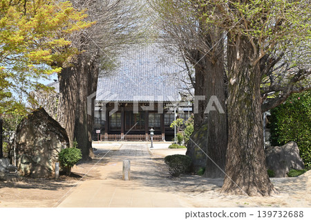 岩槻漫步：龍文字寺（曹洞宗禪宗）－正殿 139732688