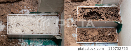 Termite bait stations to get rid of Termites. Pest control staff is installing termite bait stations termite bait stations are put on ground floor. get rid of termites. Termite bait stations to get rid of Termites. Pest control staff is installing termite bait stations termite bait stations are put on ground floor. get rid of termites. 139732733