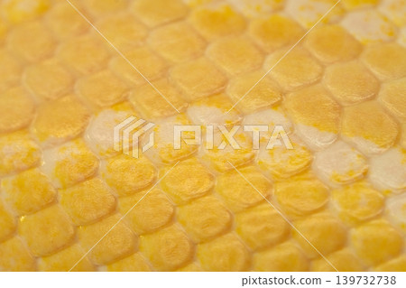Beautiful yellow, bright snake skin, reptile skin texture, multicolored close-up as a background. Beautiful yellow, bright snake skin, reptile skin texture, multicolored close-up as a background. 139732738