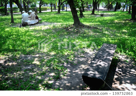 鬱鬱蔥蔥的公園長椅 鬱鬱蔥蔥的公園長椅 139732863