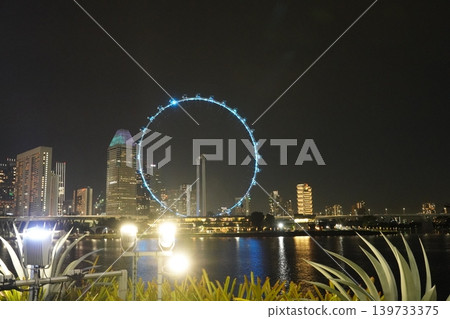 Singapore Flyer at Night City Skyline Scenery 139733375